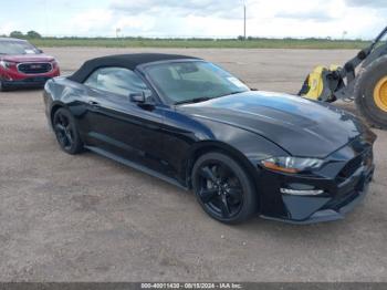  Salvage Ford Mustang