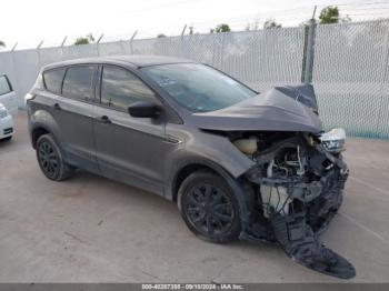  Salvage Ford Escape