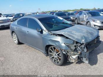  Salvage Nissan Maxima