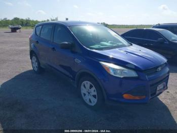  Salvage Ford Escape