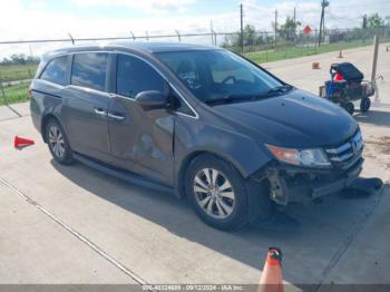  Salvage Honda Odyssey