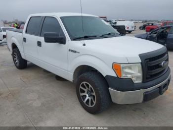  Salvage Ford F-150