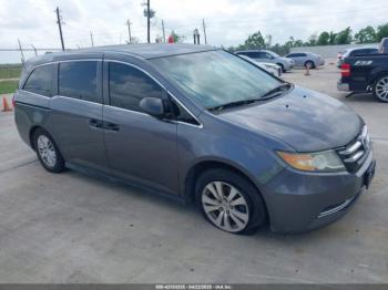  Salvage Honda Odyssey