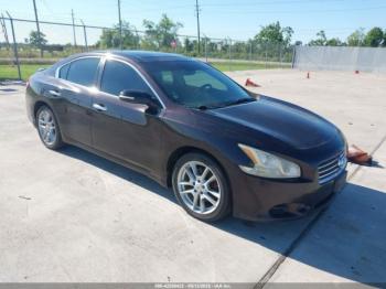  Salvage Nissan Maxima