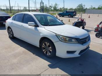  Salvage Honda Accord