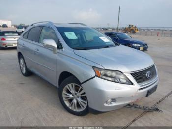  Salvage Lexus RX