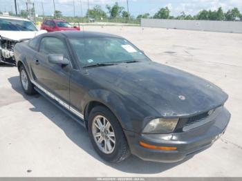  Salvage Ford Mustang