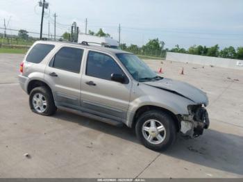  Salvage Ford Escape