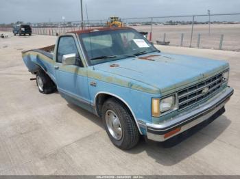  Salvage Chevrolet S Truck