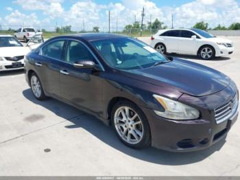  Salvage Nissan Maxima