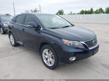  Salvage Lexus RX