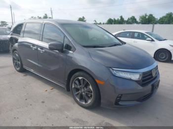  Salvage Honda Odyssey