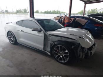  Salvage Ford Mustang