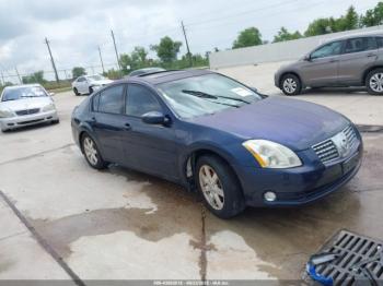  Salvage Nissan Maxima