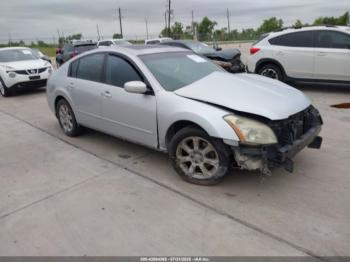  Salvage Nissan Maxima