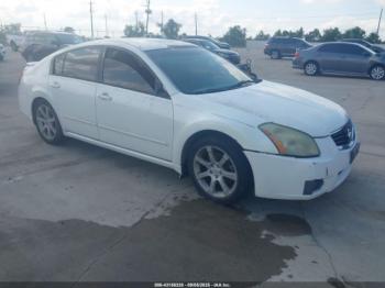  Salvage Nissan Maxima