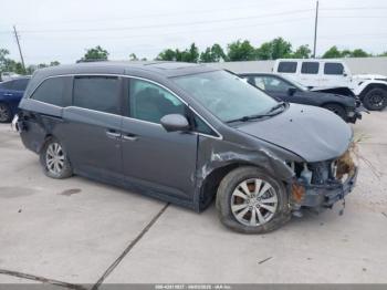  Salvage Honda Odyssey