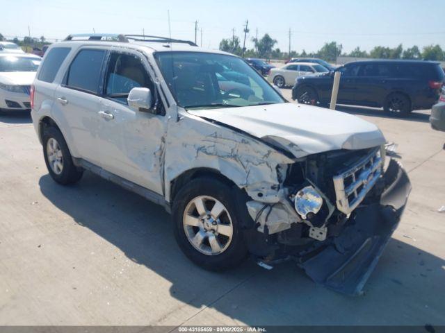  Salvage Ford Escape