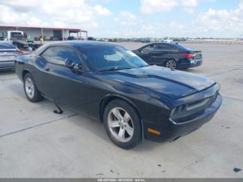  Salvage Dodge Challenger