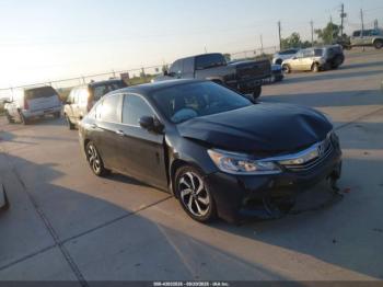  Salvage Honda Accord