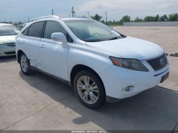  Salvage Lexus RX