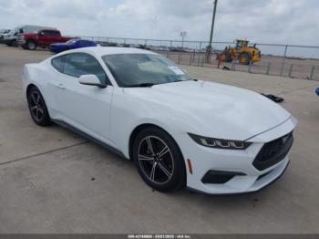  Salvage Ford Mustang