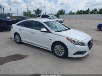  Salvage Hyundai SONATA