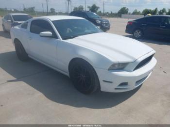  Salvage Ford Mustang
