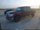 Ford F-150 Image 3