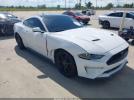 Ford Mustang Ecoboost Premium Fastback Image 1