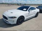 Ford Mustang Ecoboost Premium Fastback Image 3