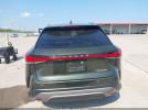 Lexus RX Premium Image 15