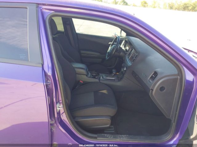 Dodge Charger Image 6