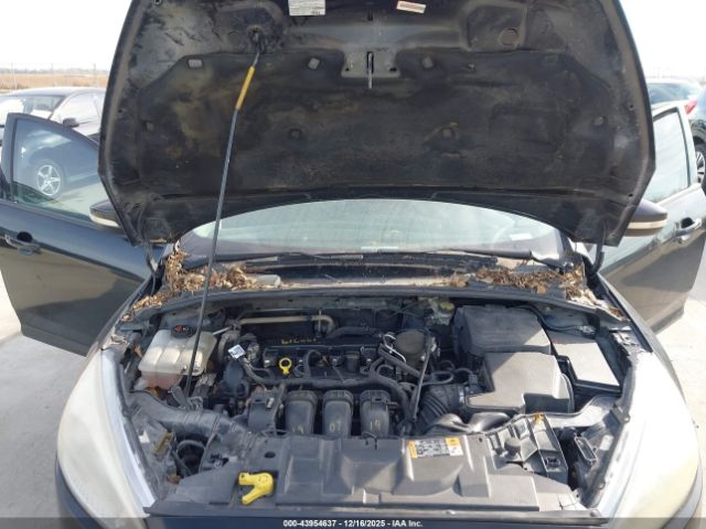 Ford Focus Se Image 11