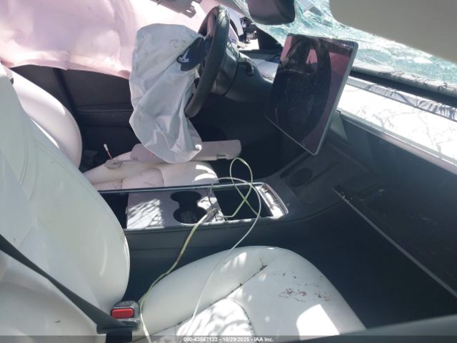 Tesla Model Y Image 7