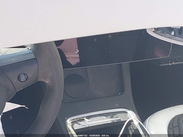 Tesla Model Y Image 5