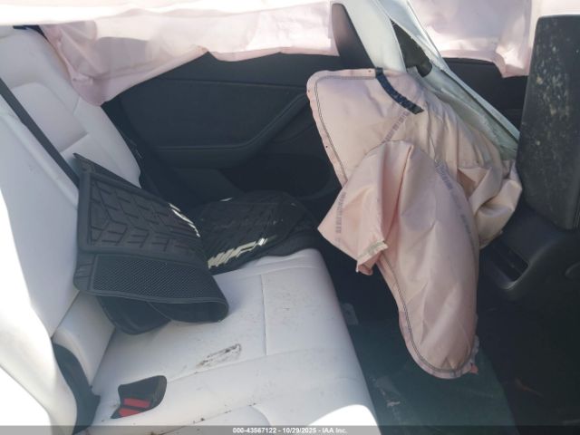 Tesla Model Y Image 6