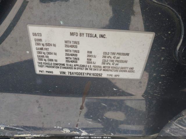 Tesla Model Y Image 13