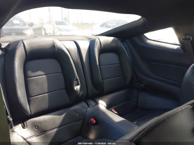 Ford Mustang Ecoboost Image 12