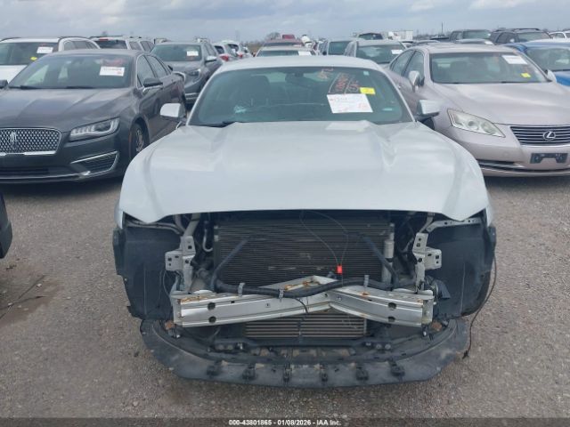 Ford Mustang Ecoboost Image 5