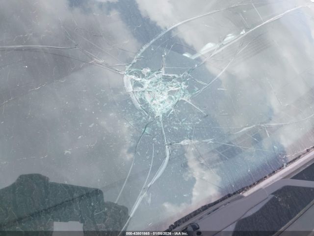 Ford Mustang Ecoboost Image 8