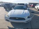 Ford Mustang Gt Premium Image 10
