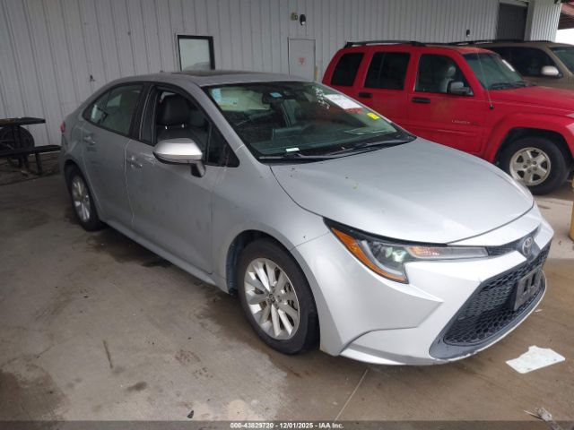 Toyota Corolla Le Image 1