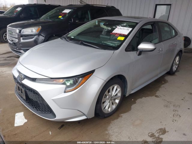 Toyota Corolla Le Image 2