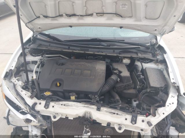 Toyota Corolla S Plus Image 12